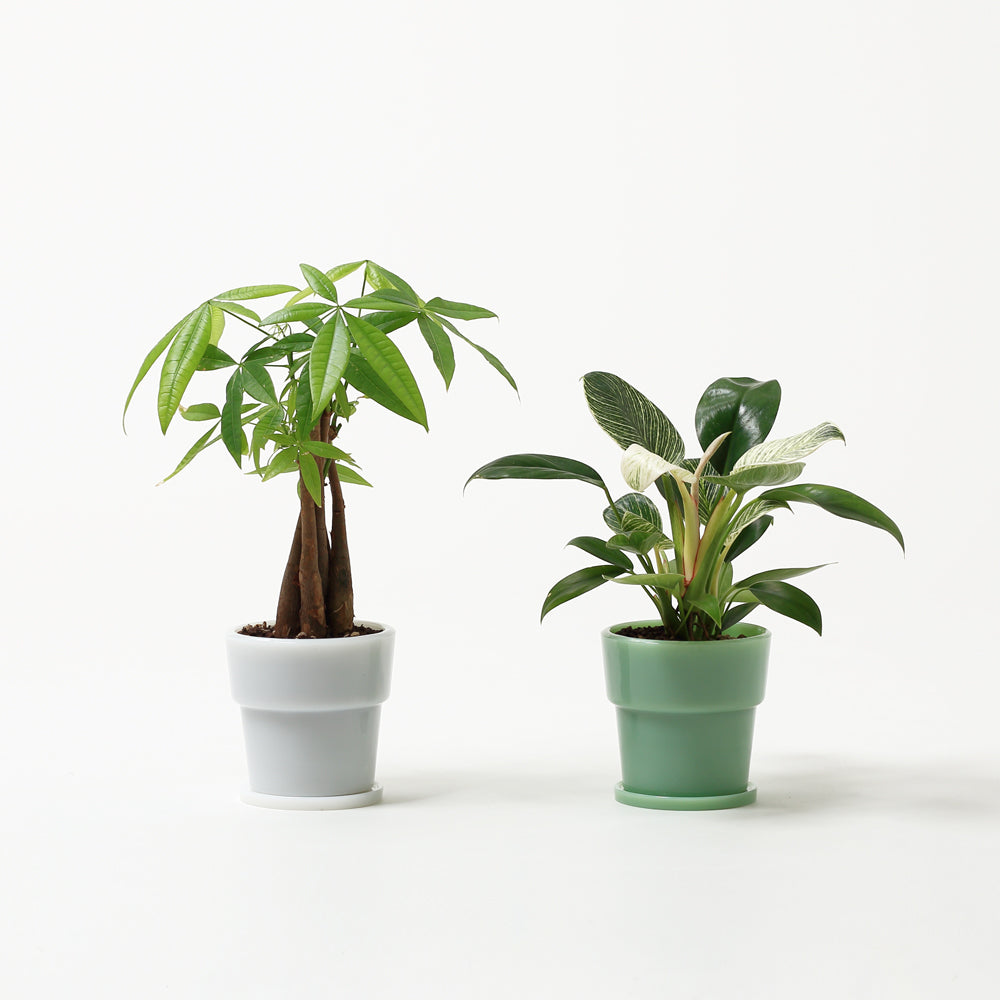 ビンテージ ミルクガラス キャニスターセット フラワー柄 モスグリーン ビンテージ ミルクガラス キャニスターセット フラワー柄 モスグリーン