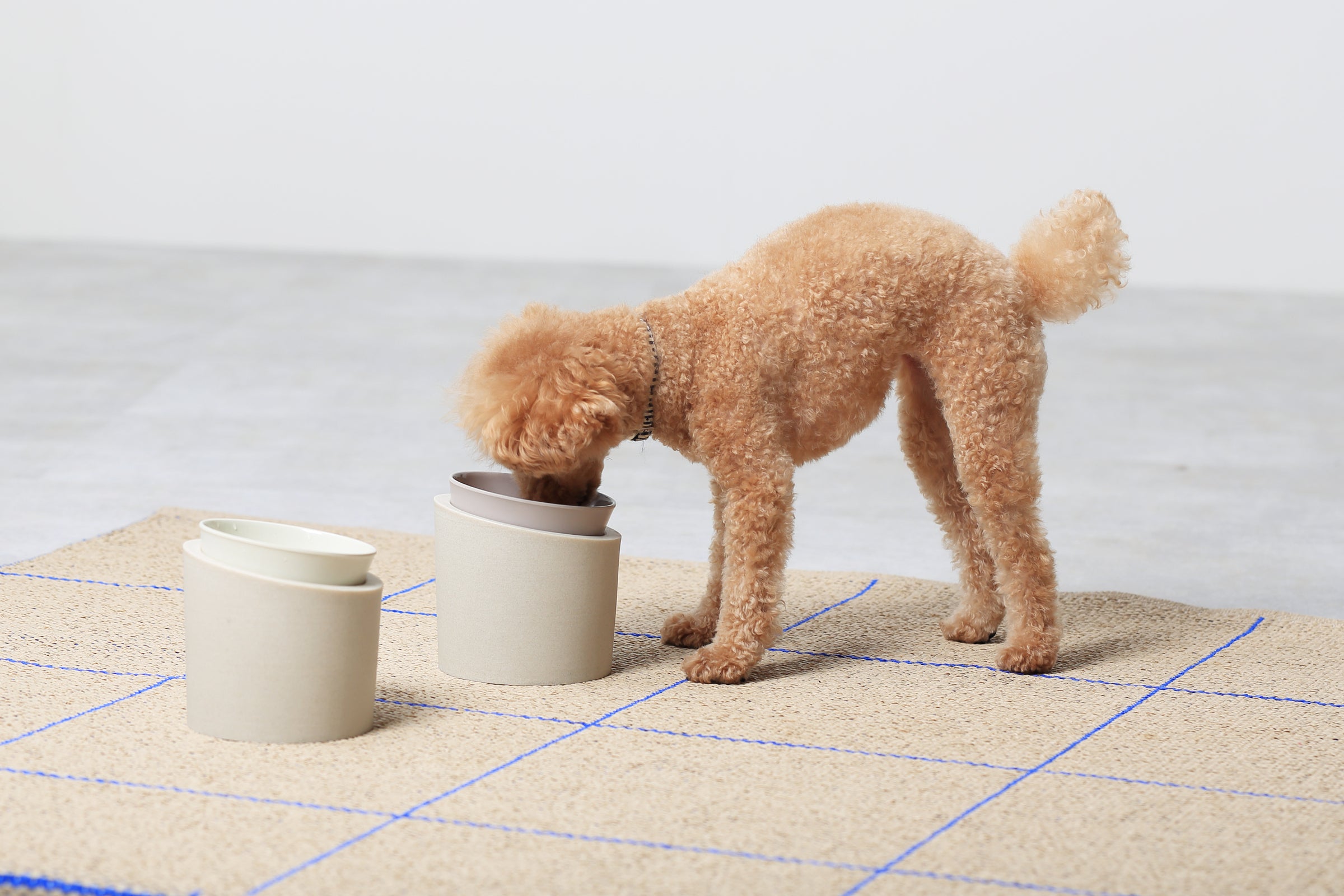 Pet Feeder – ideaco STORE