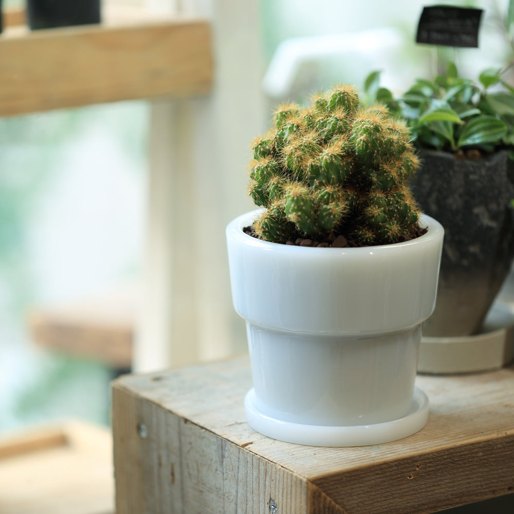 Milk Glass Planter Pot 3