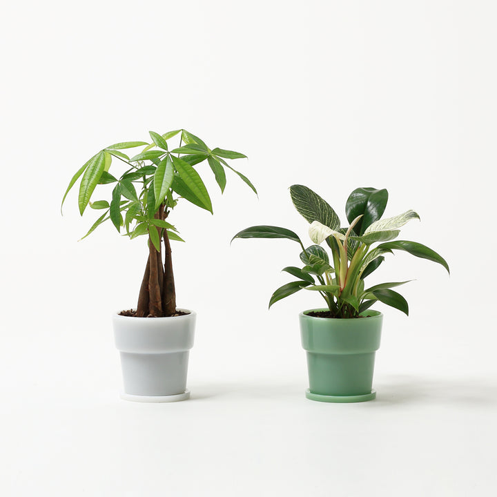 milkglass_pot4_dtl6_720x.jpg?v milkglass_pot4_dtl6_720x.jpg?v