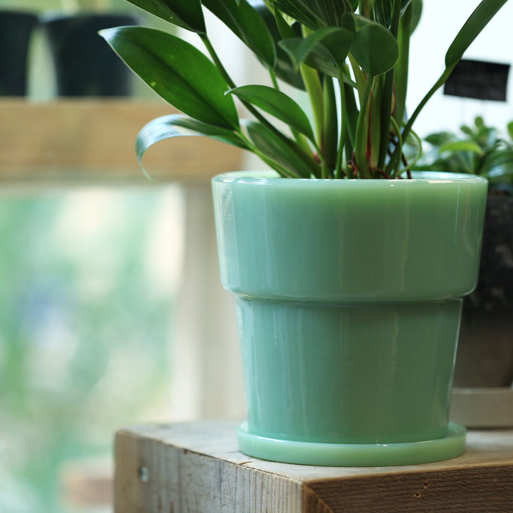 【OUTLET】ミルクガラス植木鉢 Milk Glass Planter Pot 4