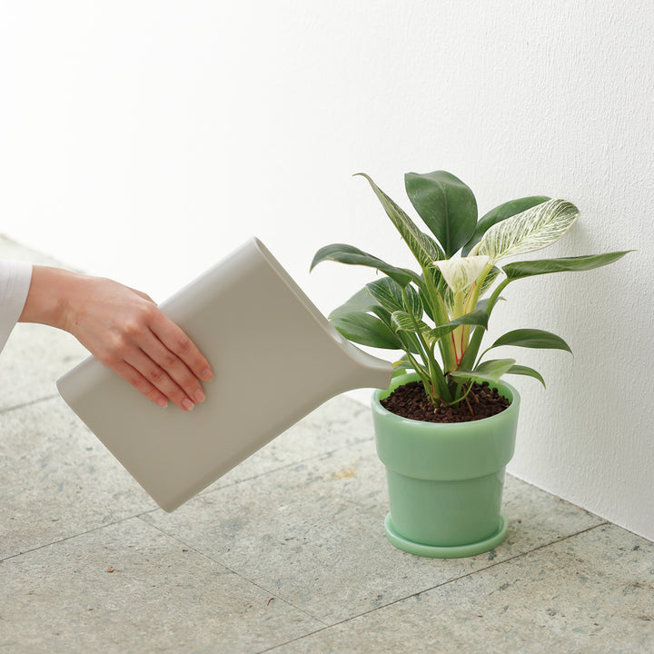 福袋・半額ポスター - クリーニング屋さん専用の通 ギフトバッグ付き】植物プランターギフト STORE ideaco – 鉢・プランター用品