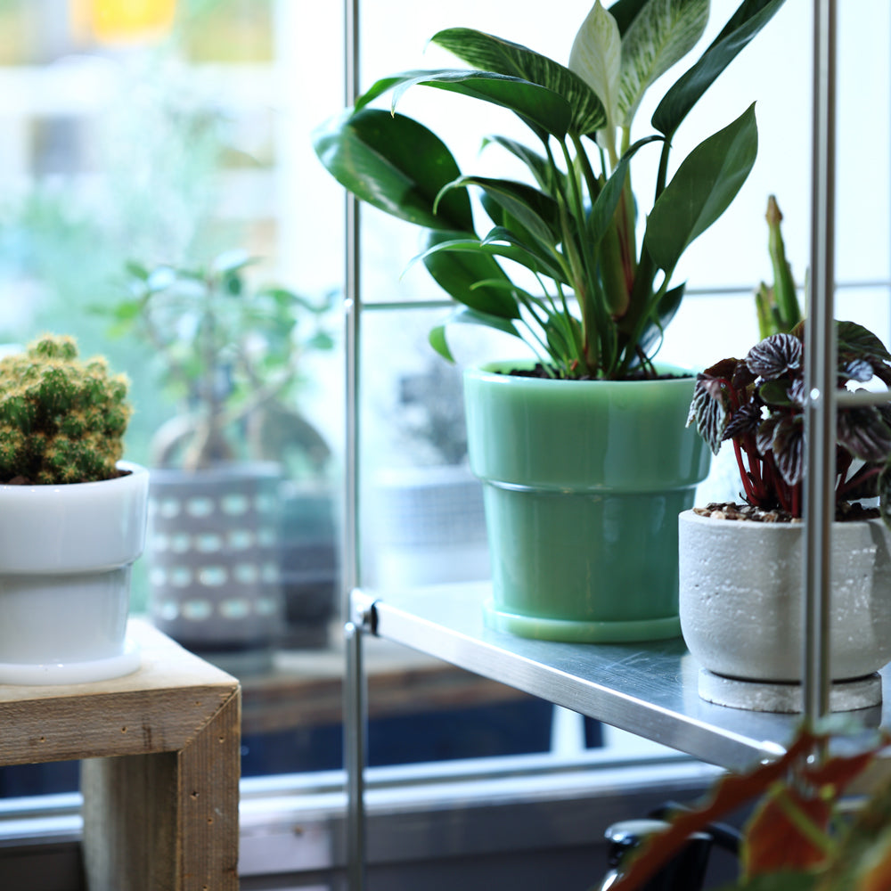 Milk Glass Planter Pot 4