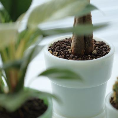 Milk Glass Planter Pot 4