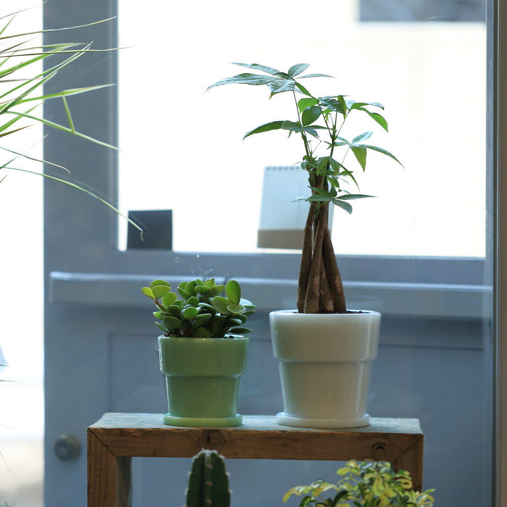 Milk Glass Planter Pot 4