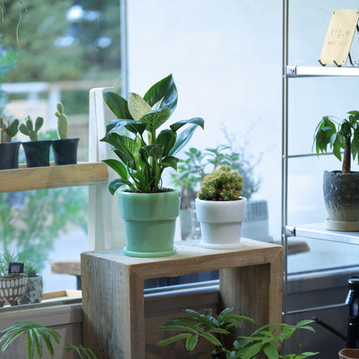 Milk Glass Planter Pot 3