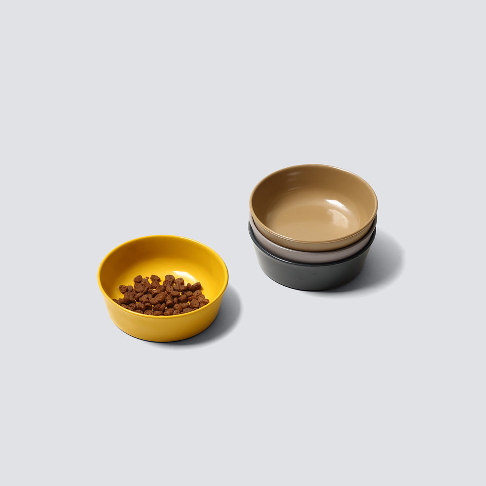 Pet Feeder – ideaco STORE