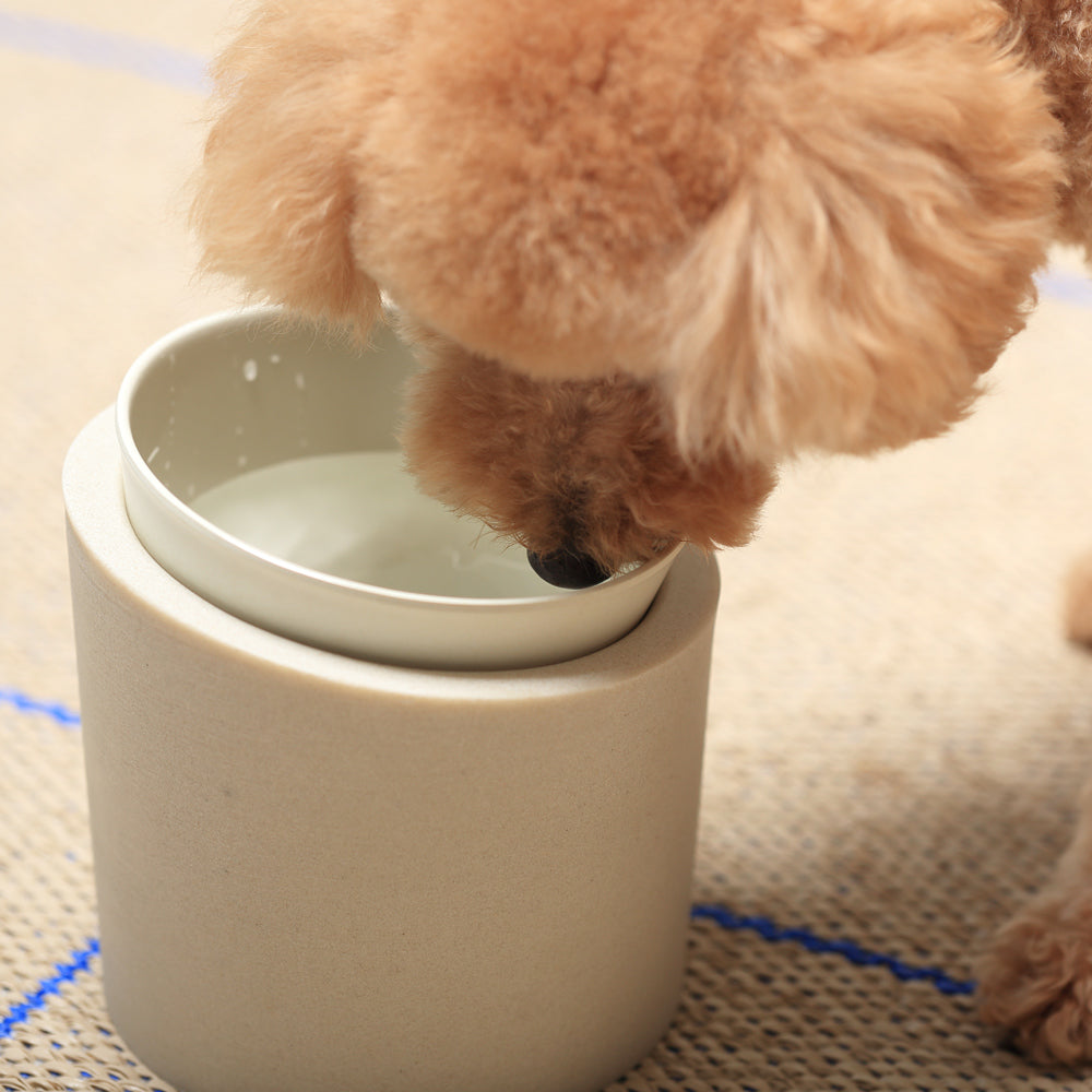 Pet bowl kiltti koira BUDDY BOWL POTTERY
